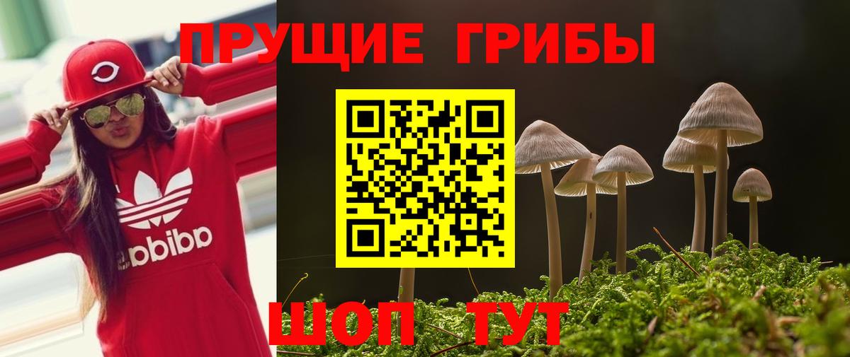 Галлюциногенные грибы мицелий Белово